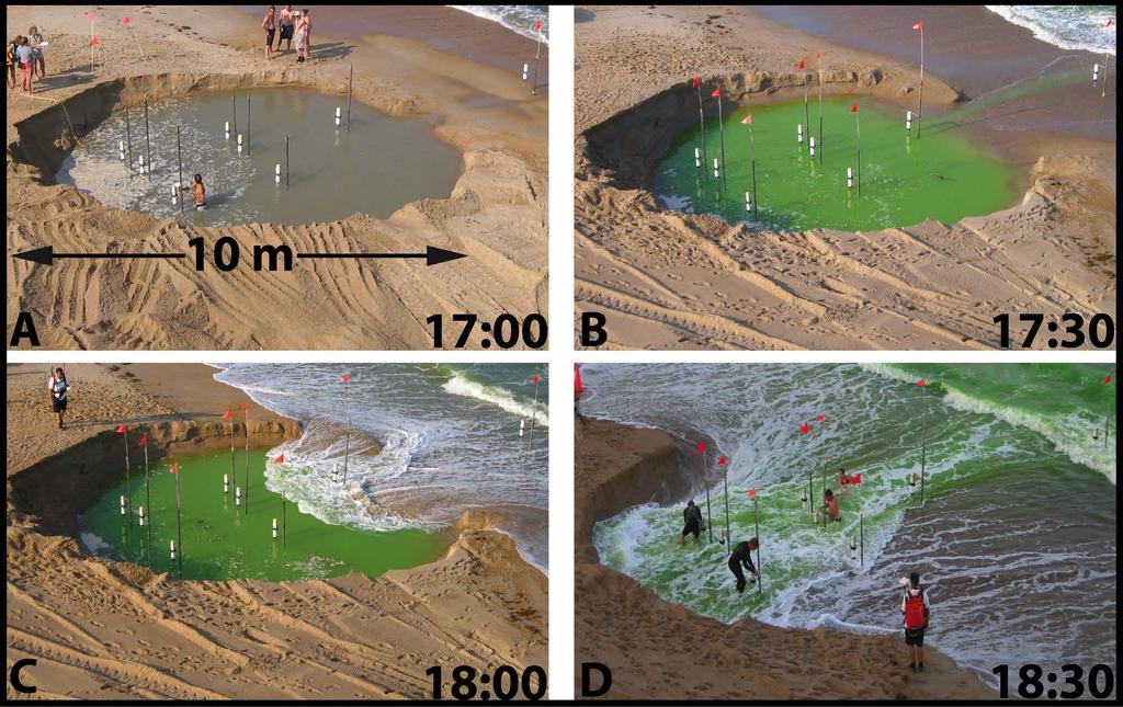 iii) Behavior of crater-like holes in the swash Man-made crater-like holes dug near the low tide line rapidly refilled with sediment as the tide rose and swash flowed around and within the holes