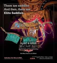 SHOW SPONSORS ARE GREATLY APPRECIATED! Beautiful Saddles are Elite s passion!