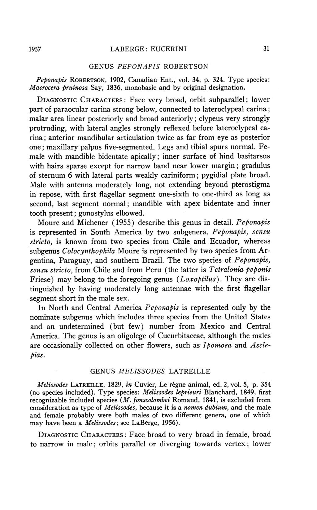 1957 LABERGE: EUCERINI 31 GENUS PEPONAPIS ROBERTSON Peponapis ROBERTSON, 1902, Canadian Ent., vol. 34, p. 324. Type species: Macrocera pruinosa Say, 1836, monobasic and by original designation.