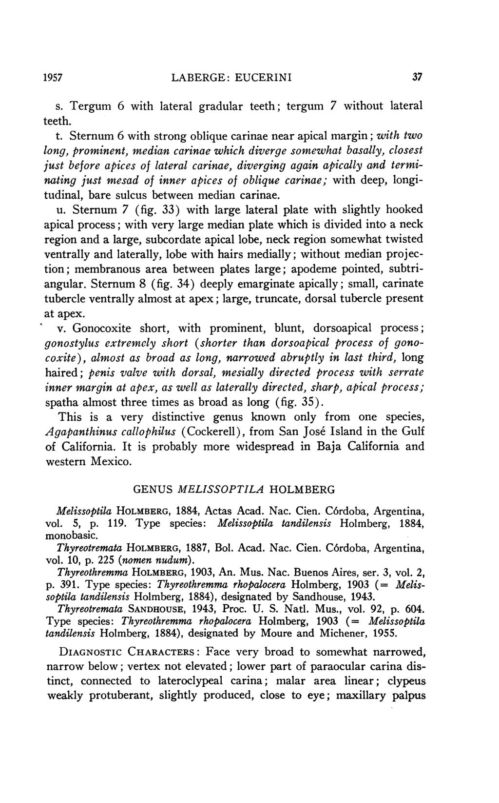 1957 LABERGE: EUCERINI 37 s. Tergum 6 with lateral gradular te