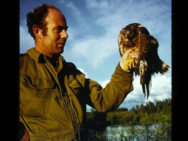 A British policemen with a goshawk near Hunting in protected areas CEM