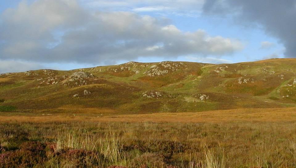 Grouse-moors are an important biotope that can be conserved by wild resource use alone,