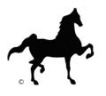 SECTION G THREE-GAITED DIVISION 1. Brief `Type Standard and Common Faults 2. Tack Requirements and Rules 3.