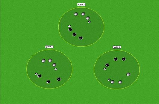 Working on balance and eye foot coordination. 12 min SESSION 2 LeaderBall Area of 30 x30 with three circle areas (10 x 10 yard circle).