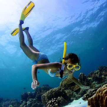 SNORKELING All of the following scheduled experiences are conducted by one of our experienced Snorkel Guides.