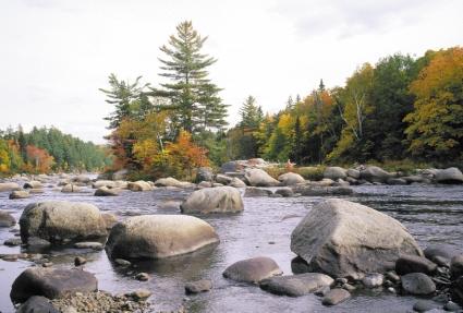 6 has been estimated that in Canada there has been a net loss of productive capacity of 16% since 1870 and in the USA only approximately 35% of the historic salmon habitat in Maine was accessible in