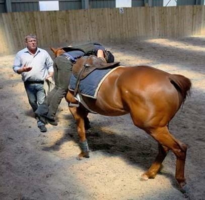 General Remedial Work We deal with a huge variety of issues for horses of any age and at any stage in their career, these include all sorts of ridden problems such as napping or bolting, bucking,