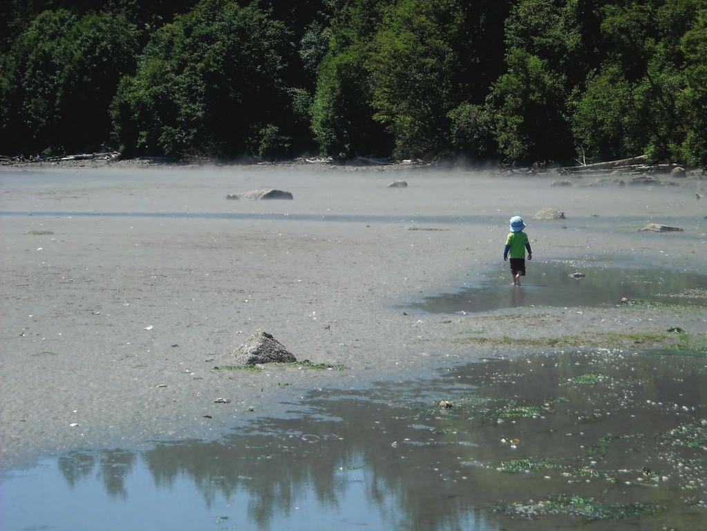 The impacts of shoreline armoring on forage fish spawning habitat in San Juan County, Washington Tina Whitman, MS Friends of the San Juans