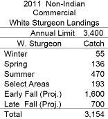 An Unnecessary Season The winter directed sturgeon season produced the least amount of sturgeon of all gillnet seasons in 2011.