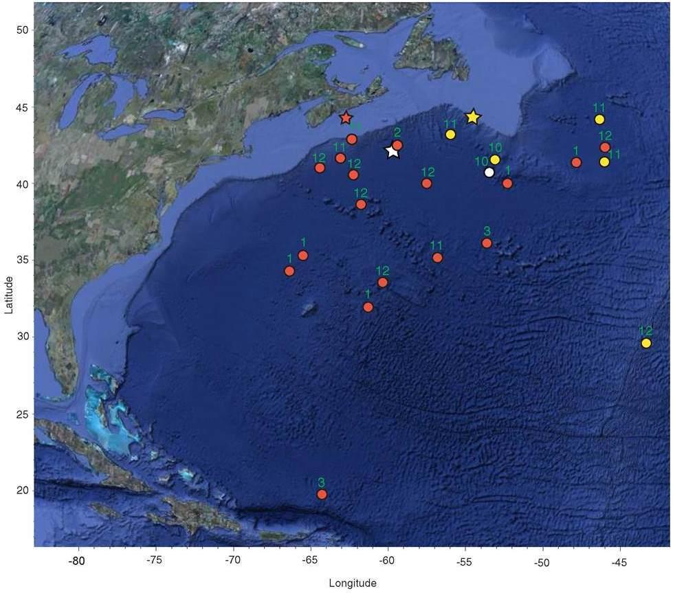 Figure 5. Blue shark pop-up satellite archival tags (PSAT) tagging and pop-up locations as shown in Campana et al. (2011).