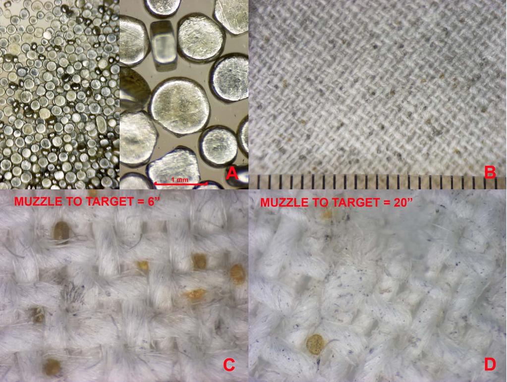 Figure 3. Remington.44 Magnum powder and target images. A: Right, low magnification of unfired gunpowder.