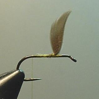 Make a few more wraps to secure the wing butts and move thread to in front of the wings as you lift the wings upright.