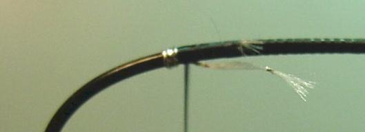 Tie off underneath the shank with 1 or 2 turns of thread (Fig. #4.