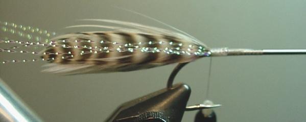 Place the paired hackles with barbs vertical on top of the hook shank with the tie-in point of the hackles on top of where the thread is hanging.