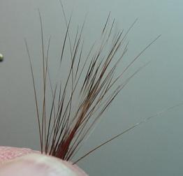Run your fingers down the hackle stem to splay the fibers and strip some from the hackle stem. Place them carefully on a flat surface. It is important to keep the tips even.