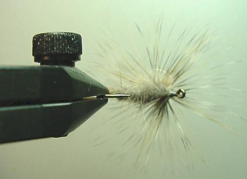 While holding the hackle tip pointing towards the far side in front of the post with the right hand, stroke the hackle fibers up and to the back with the left hand.