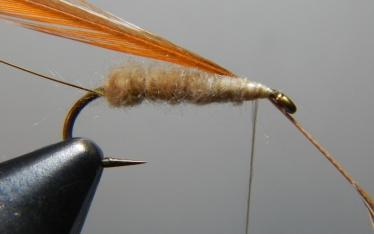 Wrap two turns close to the front of the body and then spiral wrap the hackle over the body in evenly spaced turns to the rear of the body. Do not twist the stem during this body wrap.
