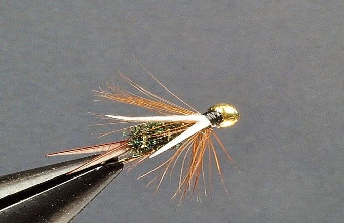The Prince Nymph has increased in popularity with the addition of the bead head.