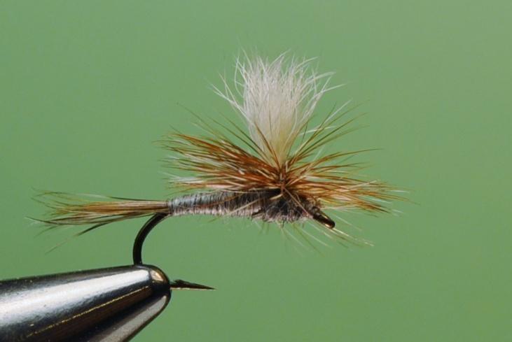 Parachute Adams Dry Fly Tied by Al & Gretchen Beatty Boise, Idaho The original Adams dry fly is arguably the most popular dry fly of all time.