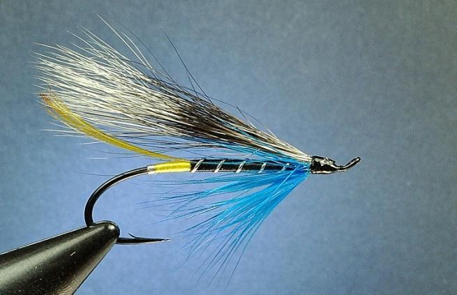 Blue Charm Salmon/Steelhead Fly Tied by Jim Ferguson Salem Oregon There are several versions of the Blue Charm Hair Wing each with its own set of proportions.