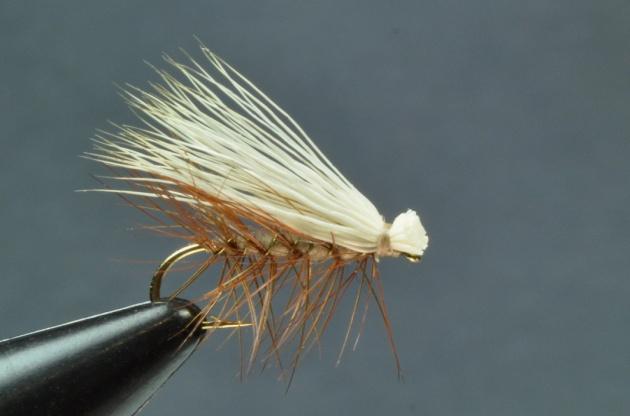 Troth Elk Hair Caddis Dry Fly Tied by Gene Kaczmarek Fremont, California This pattern was originated by Al Troth of Dillon, Montana.