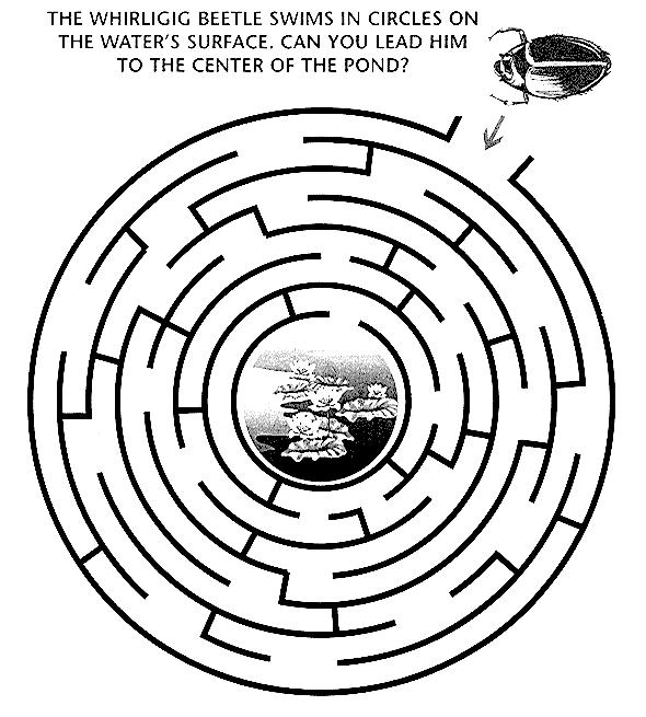 A Quarterly Publication of the Chebacco Lake & Watershed Association www.chebaccolake.org May 2012 Just for Fun - MAZES! The whirligig beetle swims in circles on the water s surface.