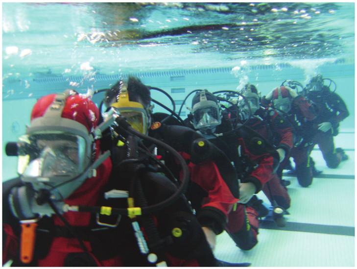 Dive Rescue I Trainers not only need to be proficient in the subjects listed below, they also must successfully complete the following: a final exam, delivery of a lecture on an assigned topic, and