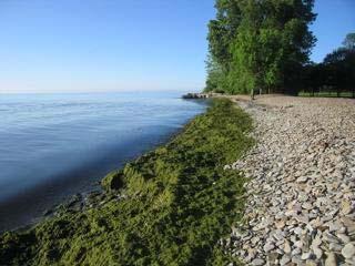 Erie Lake Ontario Lake
