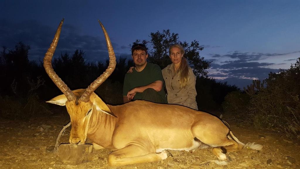 have been a easy downhill shot but alas, he was not a big enough bull. On to the field. We stalked to within about 60 yards of the field and studied the impala 1st. Not a shooter.