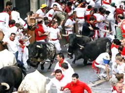 options are to go to the bullring and watch the end as the bulls arrive in the arena or to head for a bar and watch the bull run which is shown live every morning on national TV.