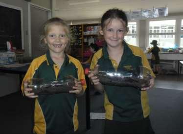 Repurpose It. The students have created mini gardens to have in the classroom which they have planted with bean seeds.