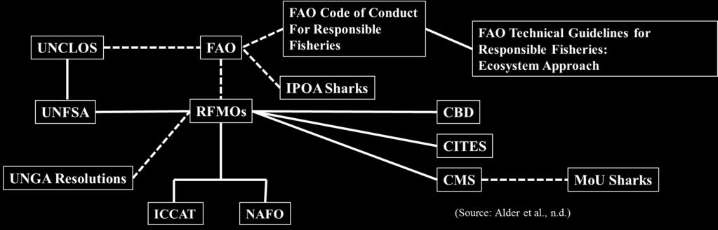 4. Chapter 4 International Governance of Sharks The migratory nature of sharks (including porbeagle, shortfin mako and blue shark) across different Exclusive Economic Zones (EEZs) and into