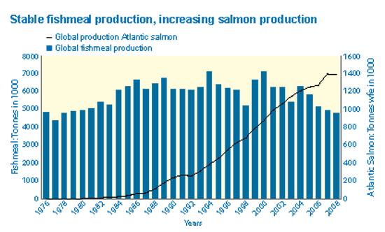 Salmon feed rations Currently, farmed salmon require only 39% fish meal and oil in their diet compared with almost 80% less than a decade ago. This percentage is expected to continue decreasing.