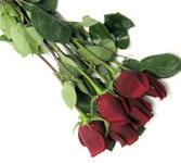 Fresh Cut Flowers Large Selection Great Prices Fresh flowers will