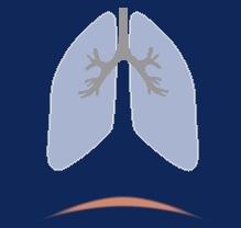 7-3). As the figure shows, the shape of the lungs changes with compliance. The numeric value is also displayed.