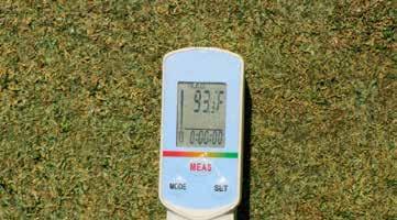 Oh Boy, Here Comes the Heat By David Oatis, regional director, Northeast Region Turf survival during periods of intense stress depends on many factors, but effectively managing water is the most