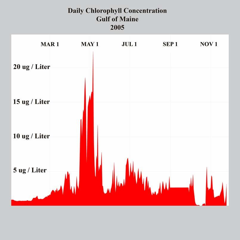 The graph above shows the chlorophyll concentration in the Gulf of Maine for the year 2005.