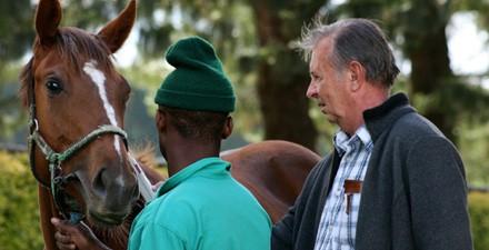Leading horseman Tobie Spies has a new challenge. ACCOMPLISHED horseman Tobie Spies has been appointed Stud Manager at Ernst Du Preez s up-andcoming Favour Stud near Stilbaai, Western Cape.