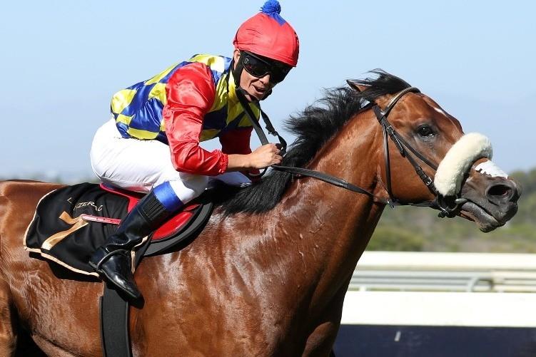 The targets for the four-year-old son of Trippi are the L Ormarins Queen s Plate, the Sun Met and if all goes according to plan the Vodacom Durban July, all Grade 1 races.