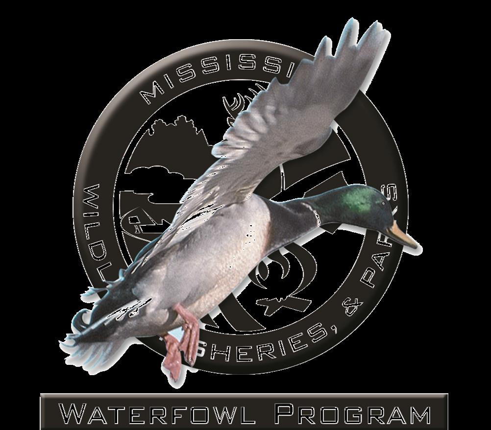 MDWFP Aerial Waterfowl Survey