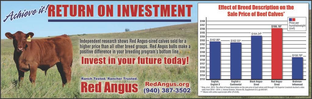 Contact us today for Certified Red Angus value-added opportunities! CERTIFIED RED ANGUS (940) 387-3502 www.redangus.