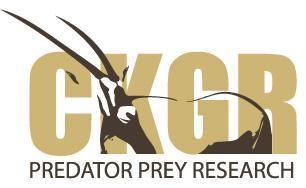 CKGR Predator/Prey Study Project Update: April 2011 CKGR Spoor Survey March 23 rd to 29 th March 2012. Provisional report and first photo record.
