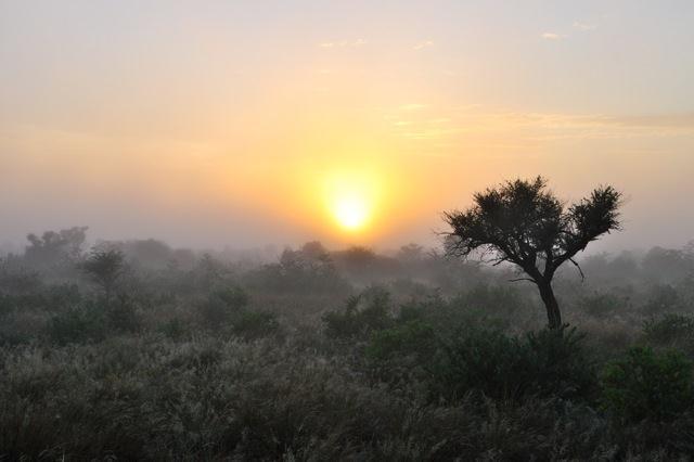 Kalahari sunset at the turn of season with grass seeding as