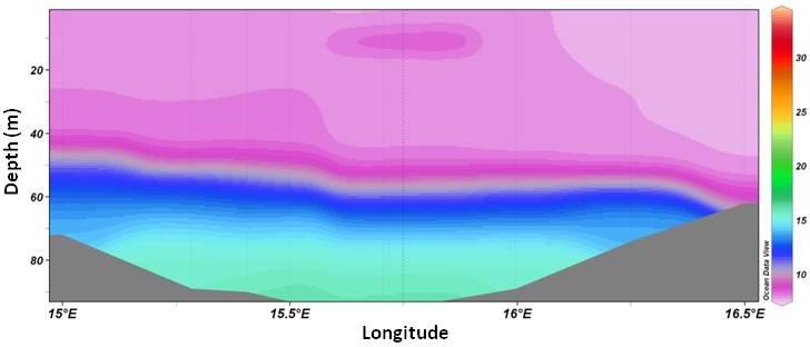 Fig. 3: Water temperature ( C) on a transect from west to east in the Bornholm Basin. Fig. 4: Salinity on a transect from west to east in the Bornholm Basin. Fig. 5: Oxygen content (ml l -1 ) on a transect from west to east in the Bornholm Basin.