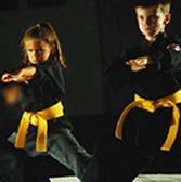 In partnership with parents, we will take an active interest in our student s academic performance, as well as their behavior at home and at school, as part of their belt advancement.