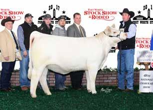 At the 2017 48th National Show in Fort Worth, Texas this tremendous daughter of Outsider walked away with the National Reserve Grand Champion Female title and the breed hasn t been the same since.