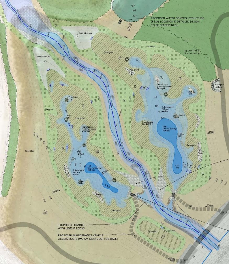 Opportunities and Constraints for Serson Creek Design Shoals and pools High estuary hooks