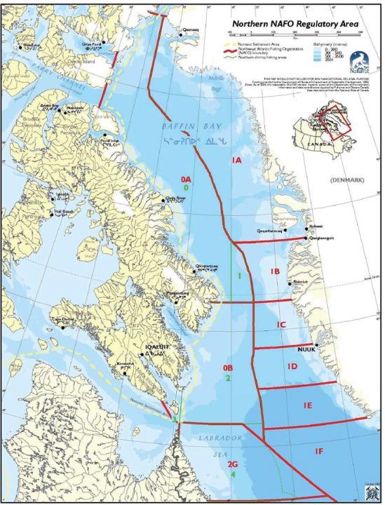 SUBMISSION TO THE NUNAVUT WILDLIFE MANAGEMENT BOARD FOR Information: Decision: _X_ Issue: Nattivak HTA is requesting permission for 45 MT of the 50 MT of Qikiqtaaluk regional exploratory turbot