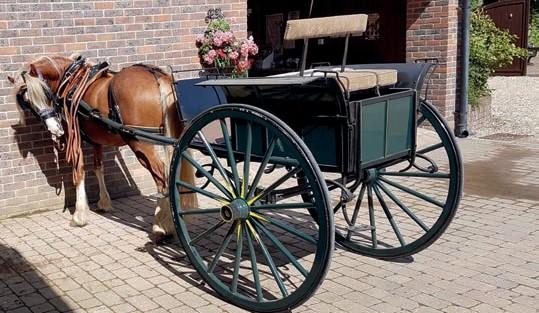 CARRIAGE TRAILERS & HORSEBOXES To follow the Carriages 45 TWO-WHEELED DOG/RALLI CAR built by