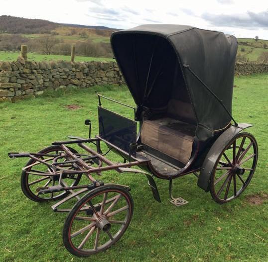 15 SPIDER PHAETON to suit 13.2 hh; painted navy with red lining. With folding hood, beige buttoned upholstery.